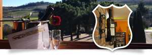 cerimonie ed eventi
